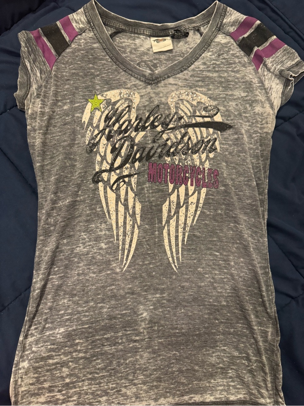 Harley-Davidson Gray Tee with Black Label Details